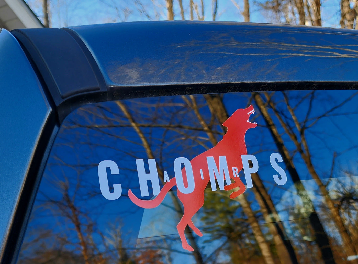 Air Chomps Transfer Decal