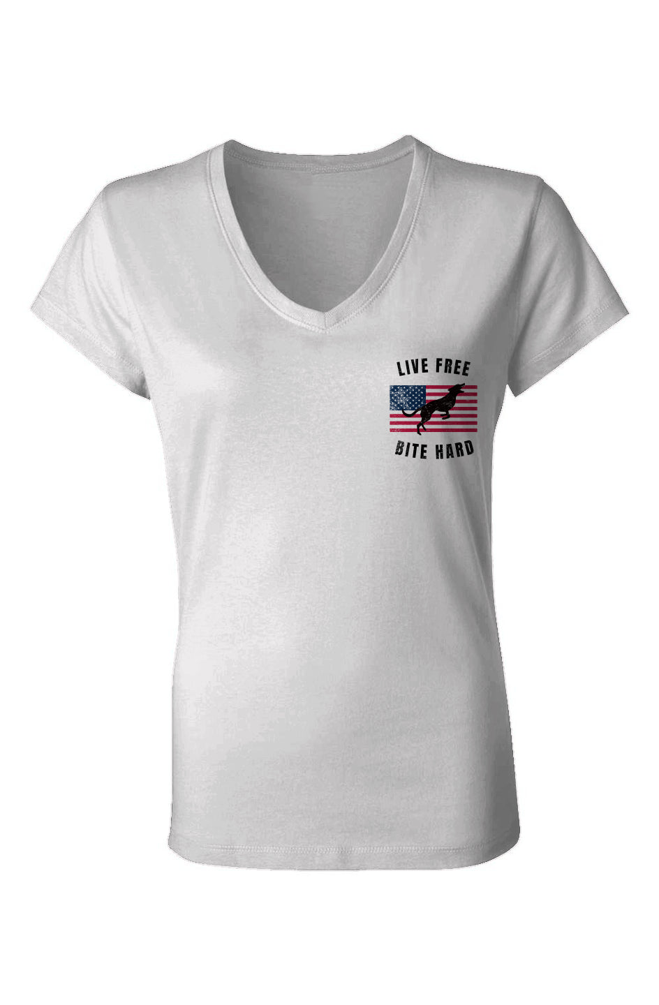 Ladies Jersey V-Neck T-Shirt