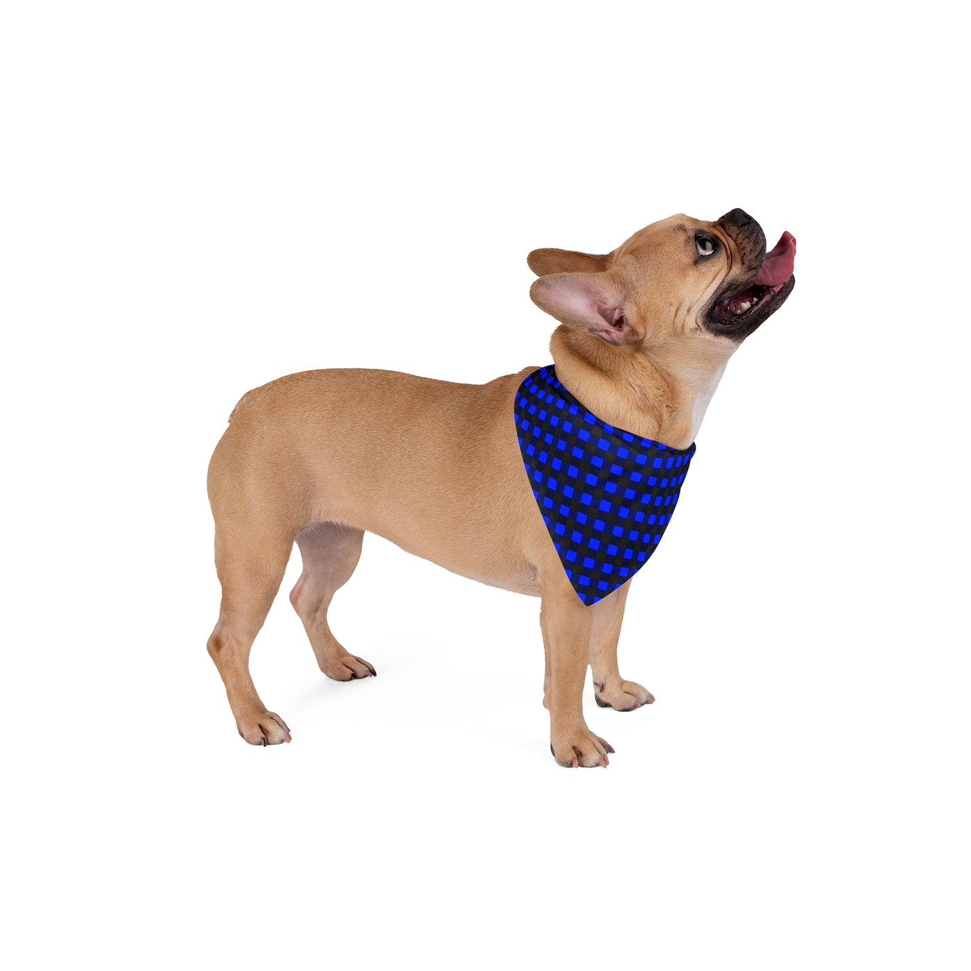 Dog Bandana Blue Buffalo Plaid