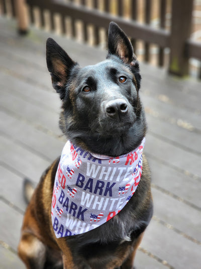 Dog Bandana Red White and Bark