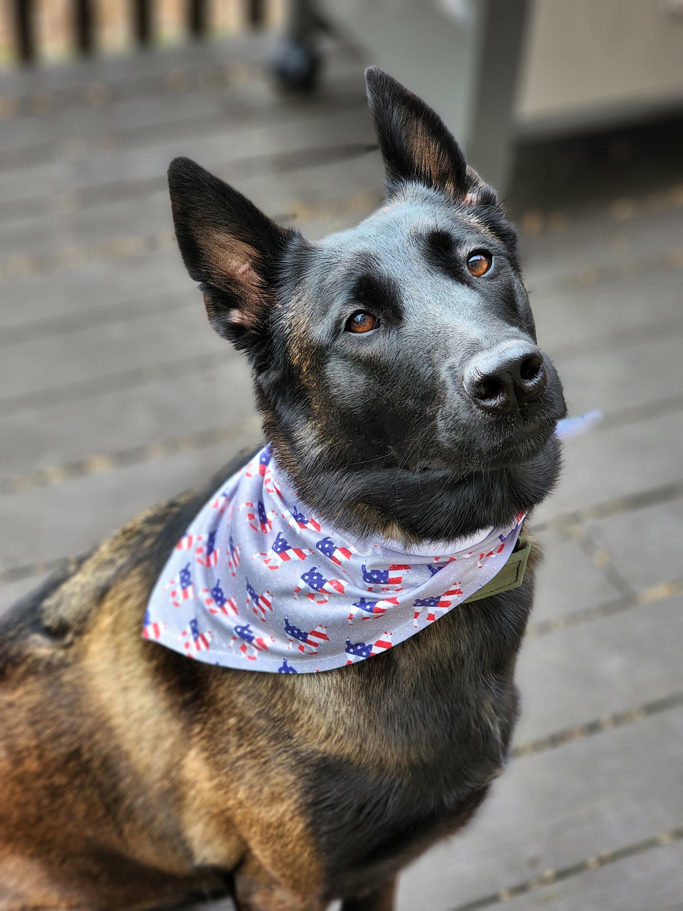 Dog Bandana Patriotic Logo