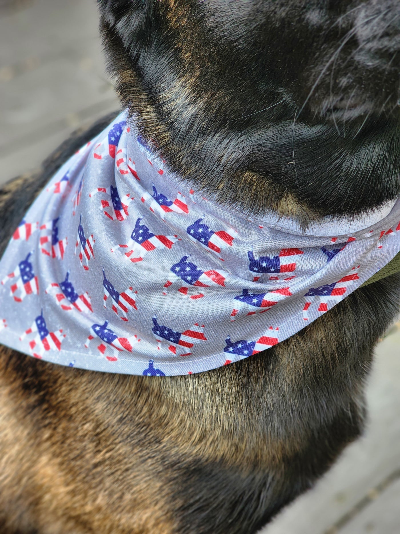 Dog Bandana Patriotic Logo